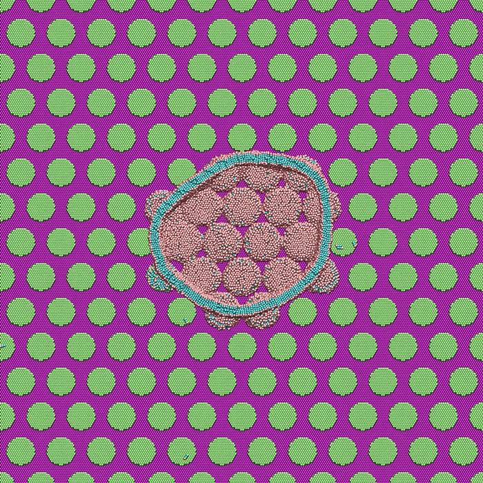 Antibacterial Nanostructure
