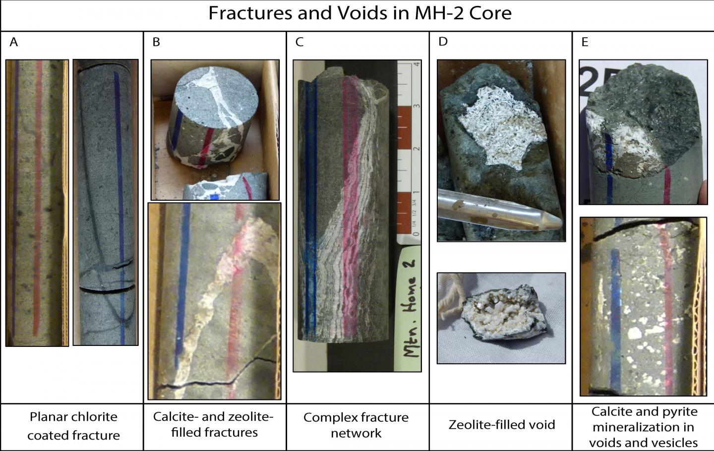 Kessler et al. Figure 5