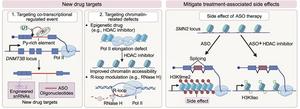 Novel therapeutic strategies targeting co-transcriptional splicing dysregulation.