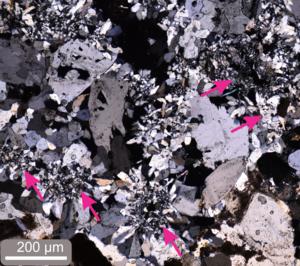 Aggregates of gypsum crystals in stromatolitic sample from northern Chile.