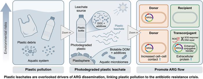 From plastic waste to resistance threat – how leachates drive ARG spread.