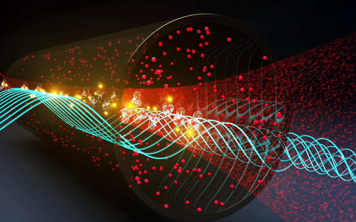 Rydberg Atoms