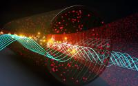 Rydberg Atoms
