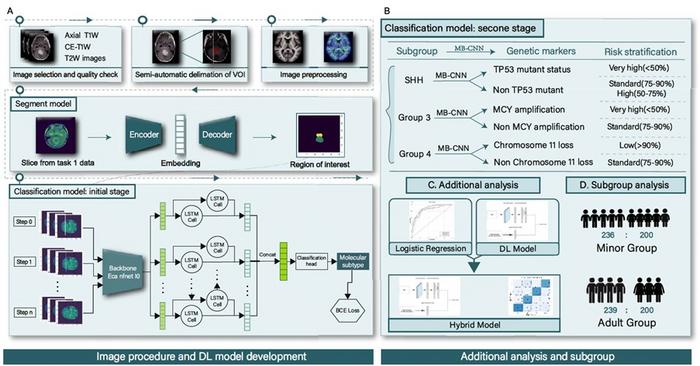 Artificial intelligence (AI) predicts brain tumor subtypes from magnetic resonance imaging