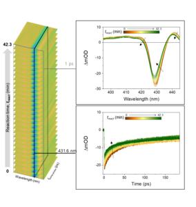 Figure 3. AI-TA analysis of light-induced agglomeration in perovskite nanoplatelets