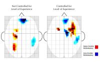 Brain Activity