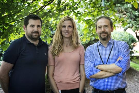 Researchers