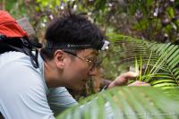 Taxon Expeditions Participant J.P. Lim Collecting Snails