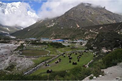 Thame Village at 3,800 M