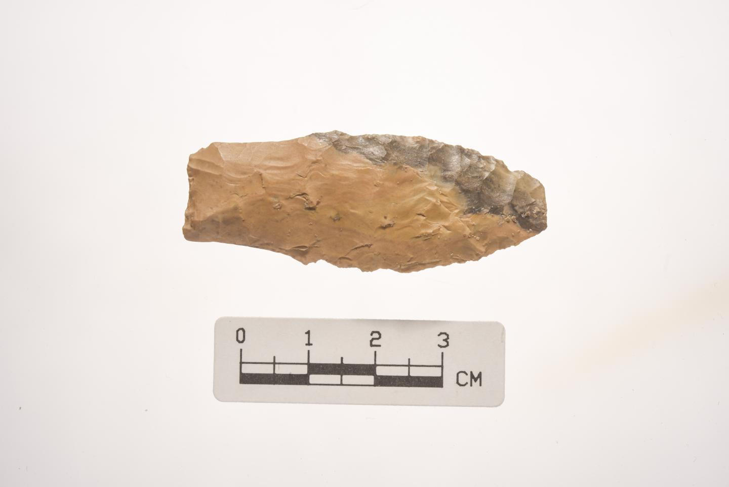 Reassessing the Arrival of Humans in the Americas (9 of 10)