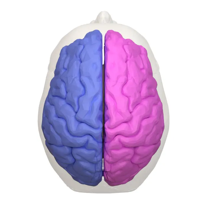 Hemispheres