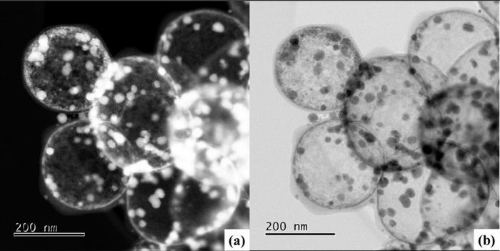 Catalyst structure at nanoscale
