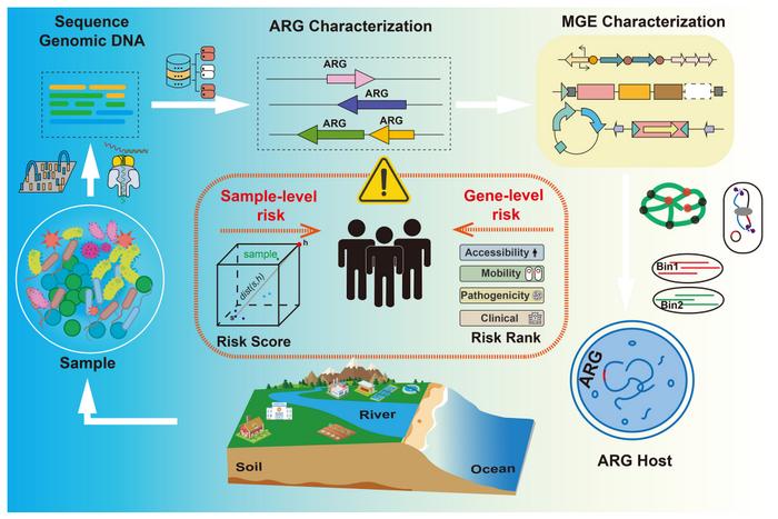 Profile surveillance and risk assessment of the environmental dimension of antibiotic resistance via the metagenomic approach
