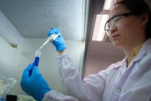 Image 3 - Dr Kaixi Zhang