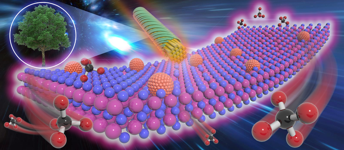 Oxygen-vacancy-mediated catalysis boosts direct methanation of biomass