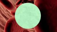 Nanosponges Soak up Toxins from Bacteria and Venom