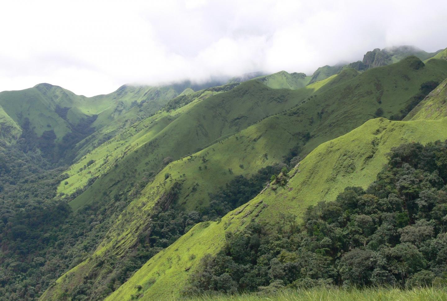 Nimba Mountains in Guinea