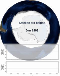 Antarctic sea ice and the saltiness of Antarctic Intermediate Water, 1993–2024