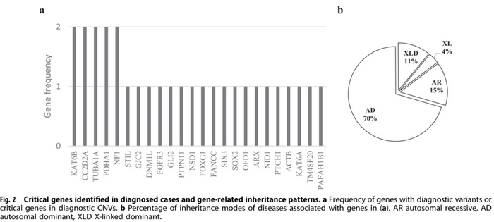 29 genes identified in diagnosed cases