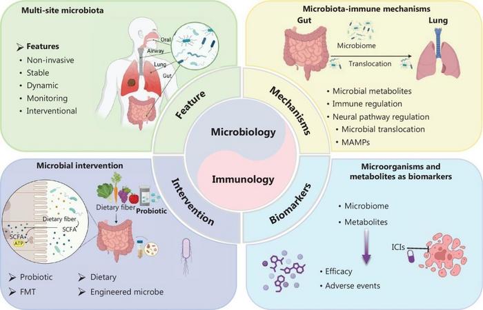 Comprehensive framework of microbiome applications in lung cancer immunotherapy.