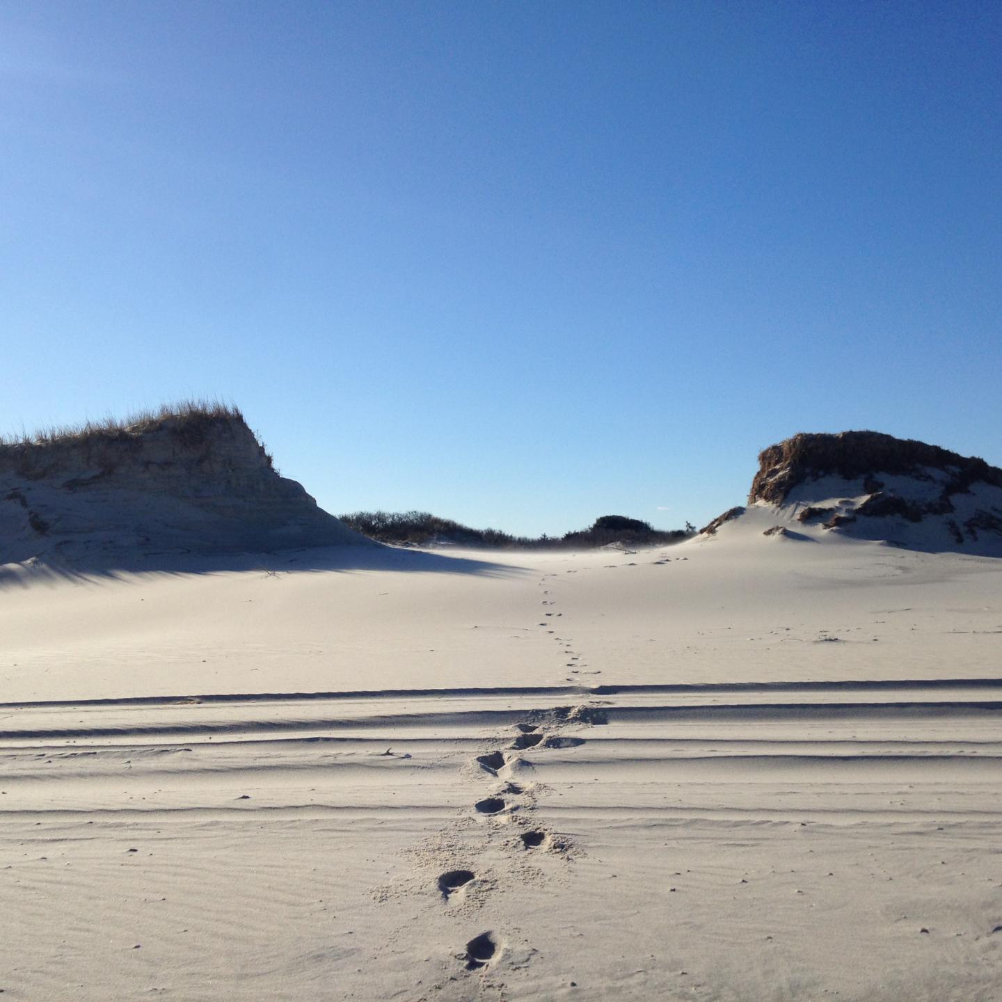 Storm Surge Erosion