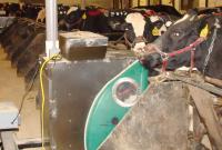 Cow Testing