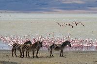 Lake Magadi