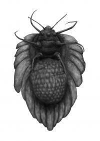 Reconstruction