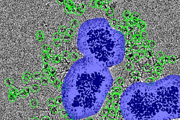 MagIC cryo-EM