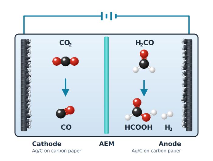 electrochemical cell for the CO2 reduction