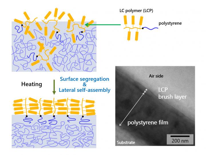 Schematic Depiction of Polymer Brush Formation