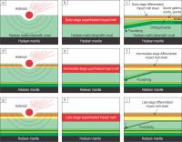 Asteroid Impact Infograph