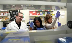 (From left) Associate Professor Tim Jarome works with seniors Harshini Venkat and Keira Currier at his lab in the School of Animal Sciences, where they collect protein samples for a Western blot.