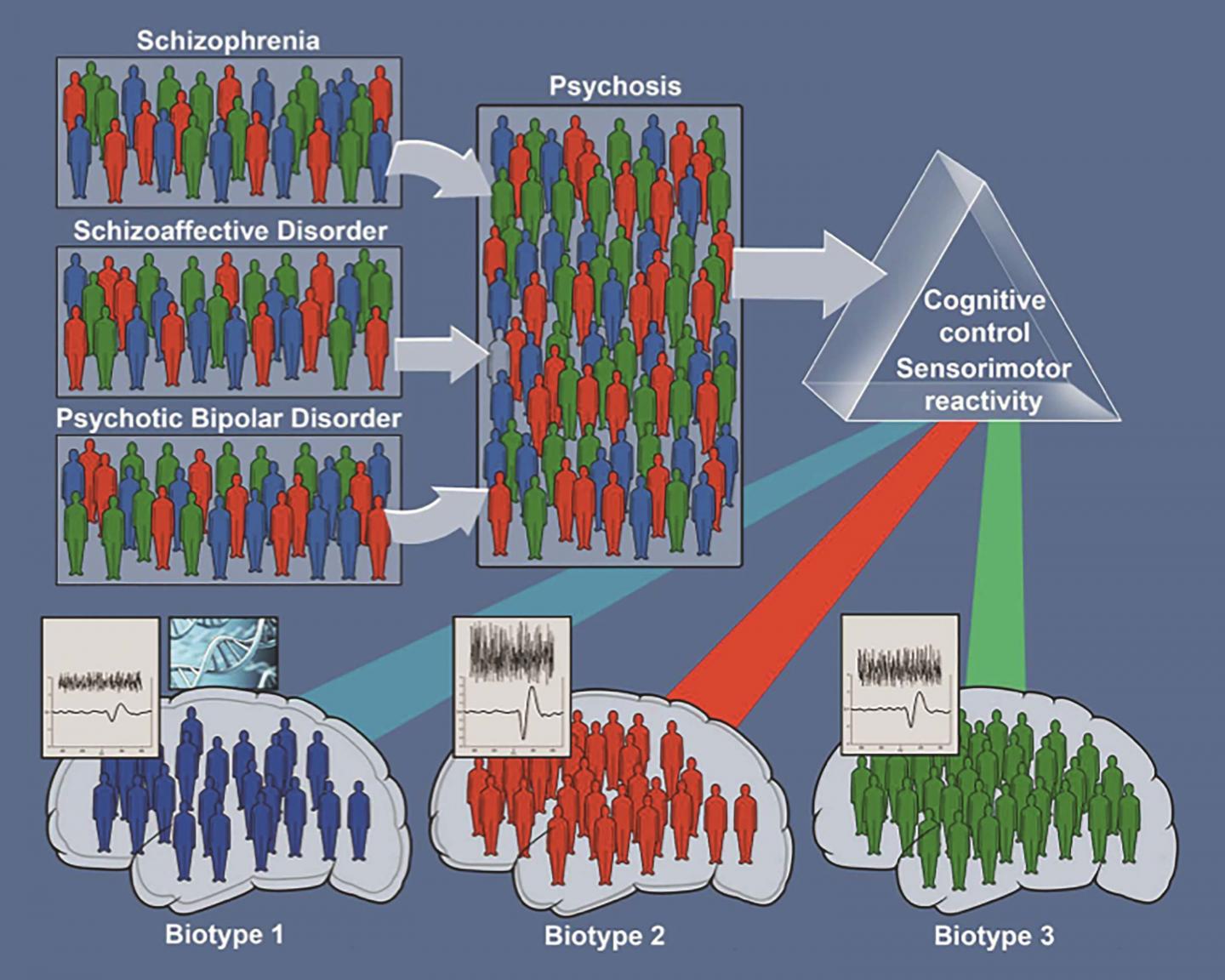 Psychosis Biotypes and Traditional Diagnoses
