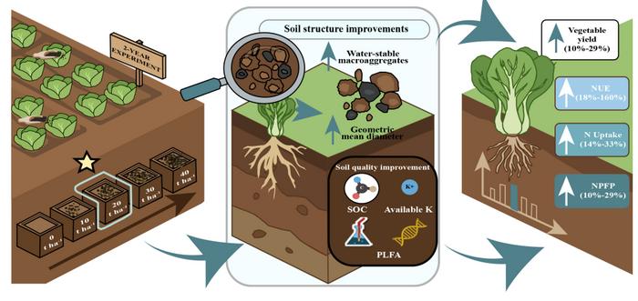 Biochar enhanced the vegetable production and nitrogen use efficiency by improving soil quality in intensive vegetable fields in Southern China