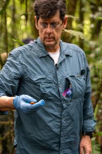 Director of the Panama Amphibian Rescue and Conservation Project (PARC) Roberto Ibañez.