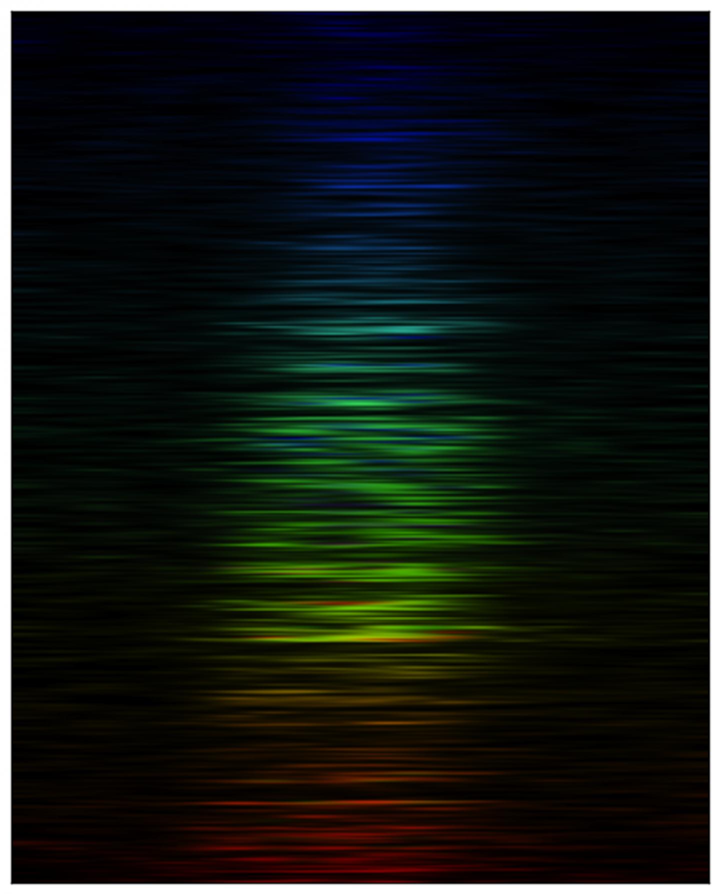 The Radio Pulse FRB 150807