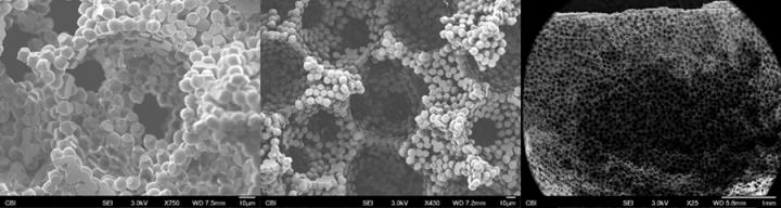 Particle-Based Inverted Crystal