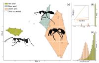 Morphospace and Evolutionary Integration