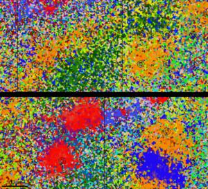 Seq-Scope-X proteome data monitoring over 100 proteins