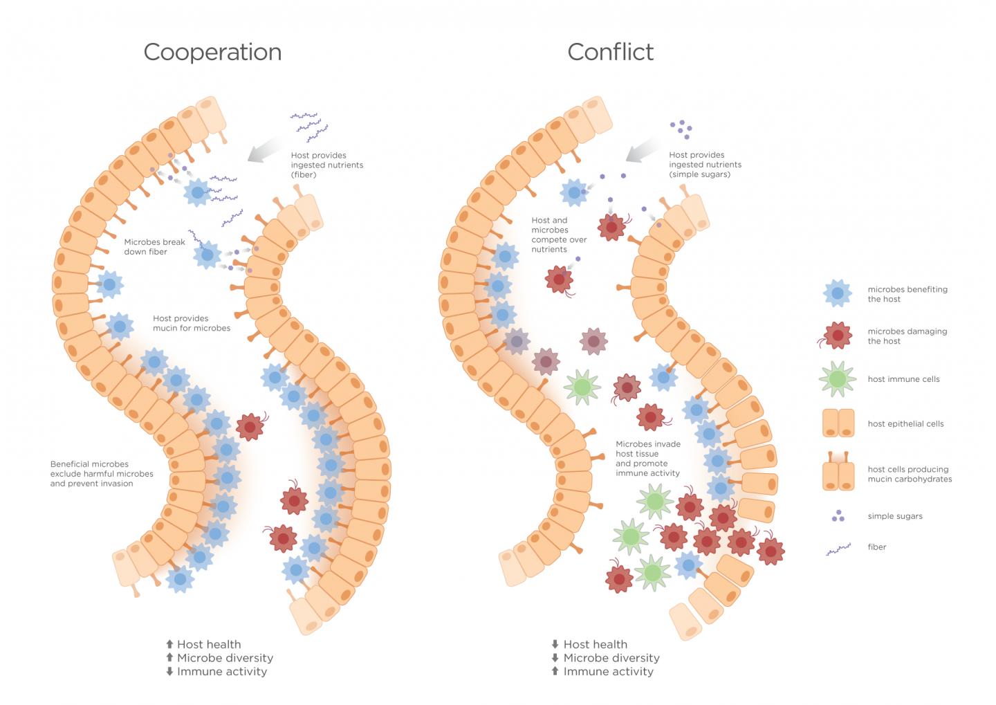 De-escalation of Conflict
