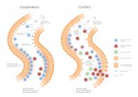 De-escalation of Conflict
