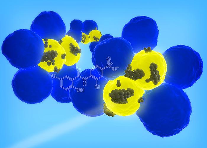 Cancer Stem-Cell-Targeting Nanoparticles