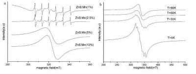 ESR Spectra of ZnS:Mn