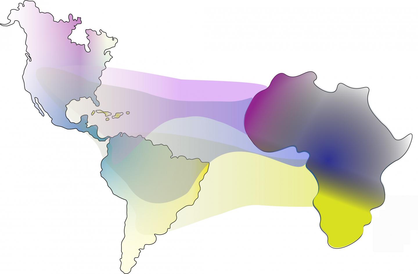 A Genetic Analysis Helps Reconstruct the Slave Trade