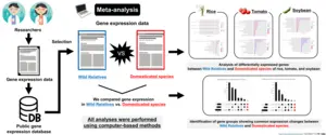 An overview of meta-analysis of wild and cultivated crop species