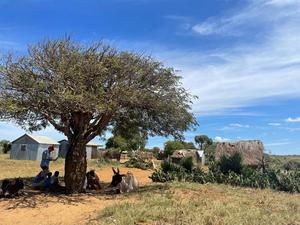 People and cattle seek shade in Southern Madagascar