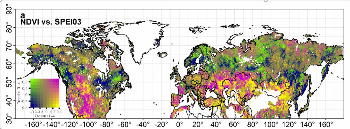 A map of Northern Hemisphere vegetation