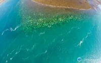 Aerial View of Bleaching