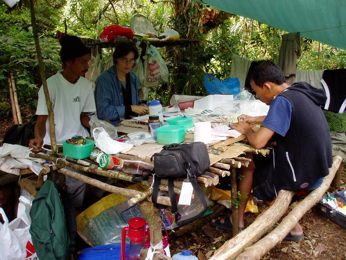 Fieldwork in the Philippines